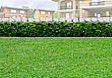 Lot for Sale in Roxas City, Capiz (10 minutes from Roxas Airport) Lot for Sale in Roxas City, Capiz (10 minutes from Roxas Airport)